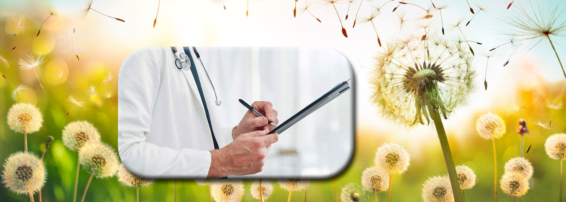 Treatment Options