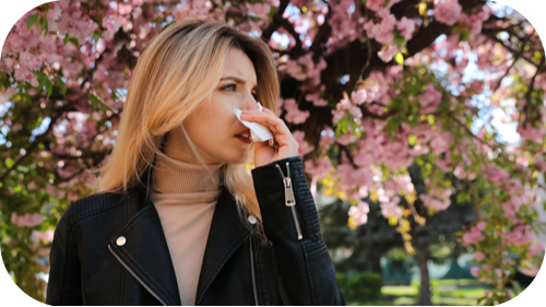 Woman in flowering tree grove wiping runny nose.